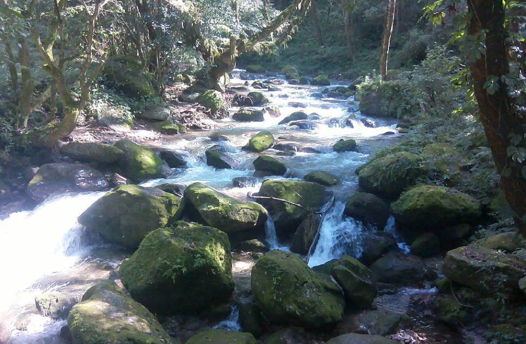 Shivapuri Hike