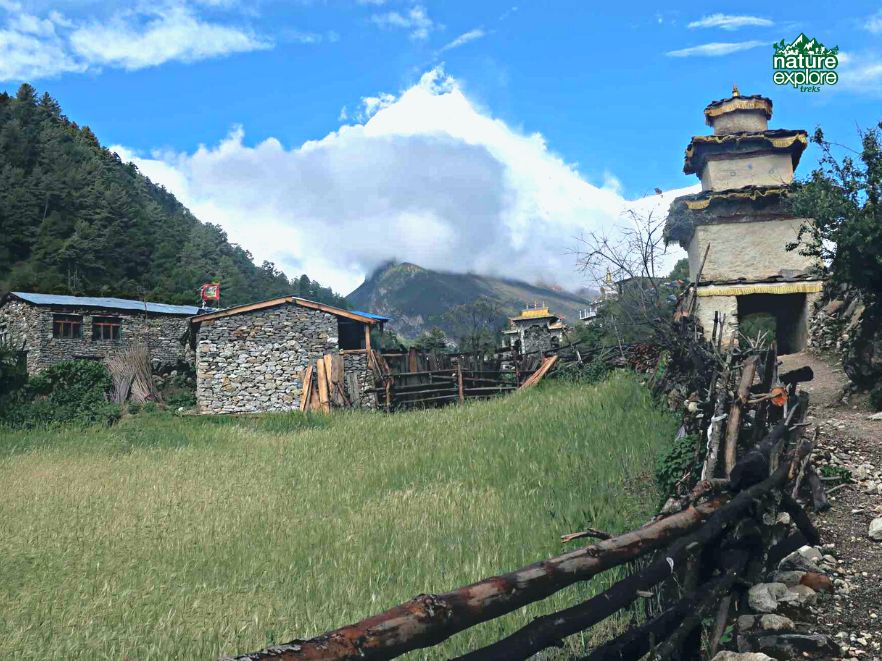 Reasons You Should Trek in Autumn