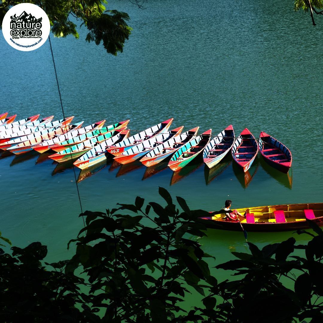 Monsoon/Summer Season (June - August )