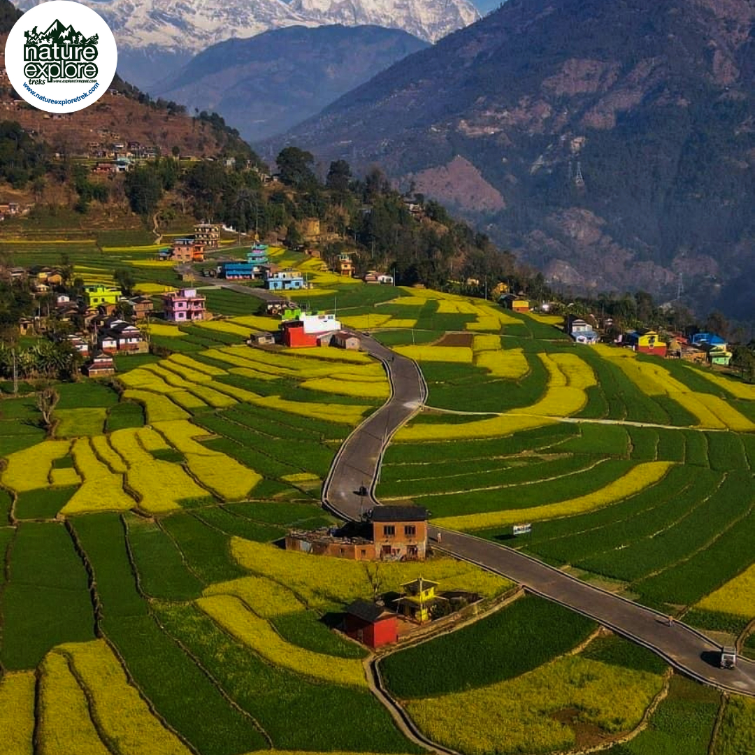 Spring  Season   (March to May )