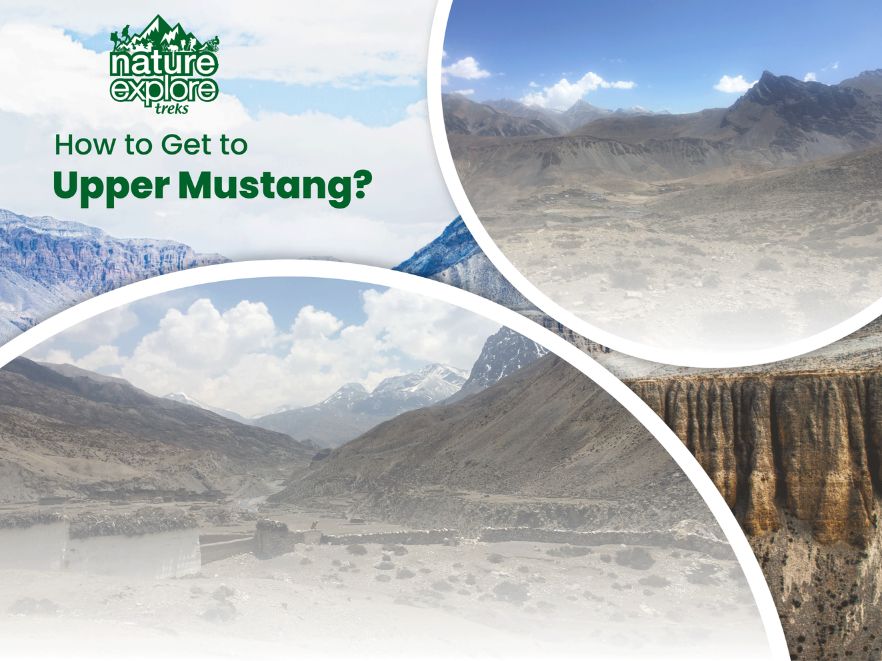 How To Get To Upper Mustang?